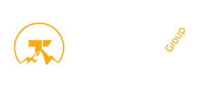 TeslaGroup Logo